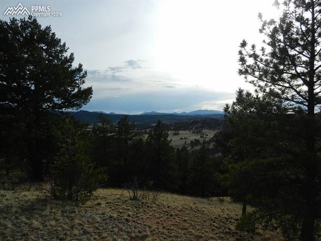 918 Old Ranch Road Florissant, CO 80816 - Photo 8 of 13 Gallery Image 8