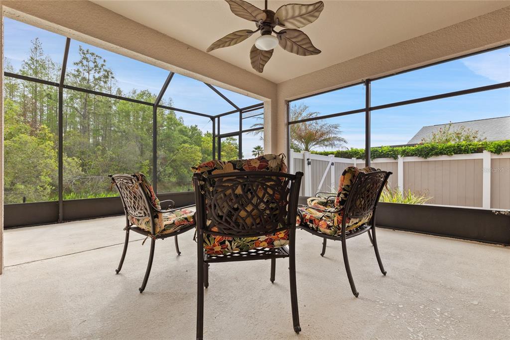 8328 Ponkan Road Land O Lakes, FL 34637 - Photo 28 of 30