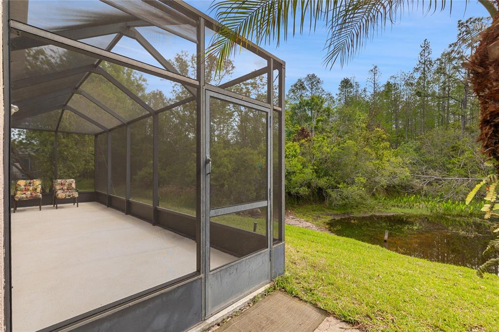 8328 Ponkan Road Land O Lakes, FL 34637 - Photo 5 of 30