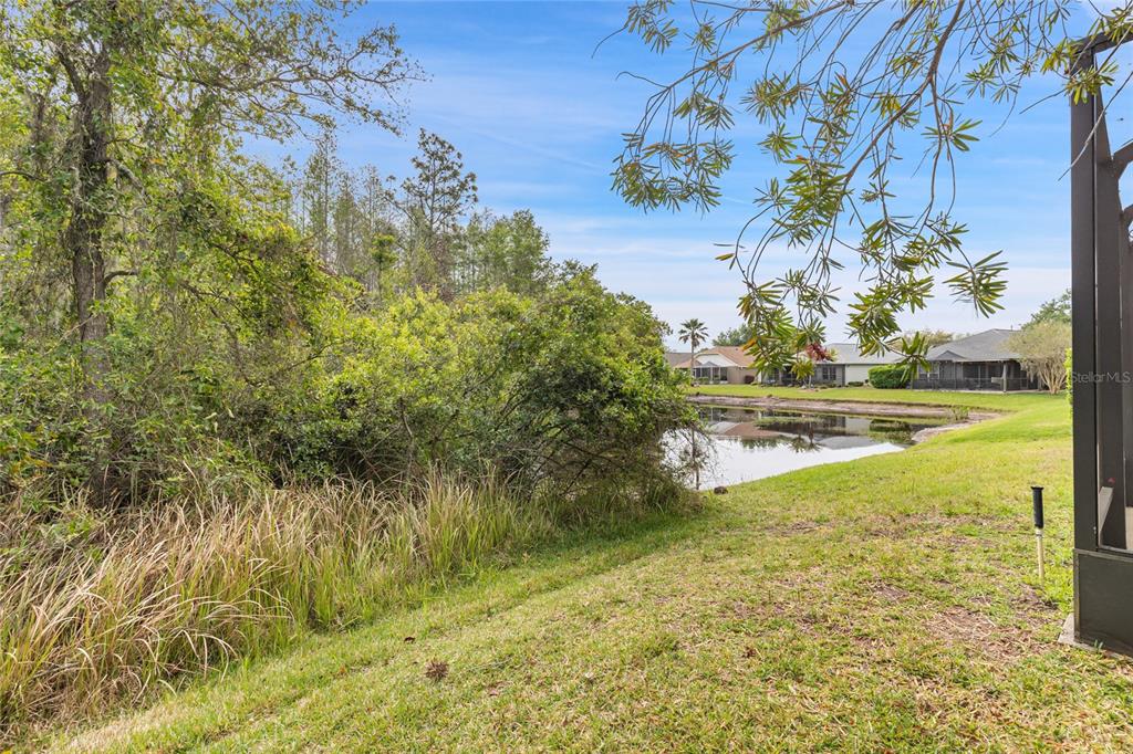 8328 Ponkan Road Land O Lakes, FL 34637 - Photo 8 of 30