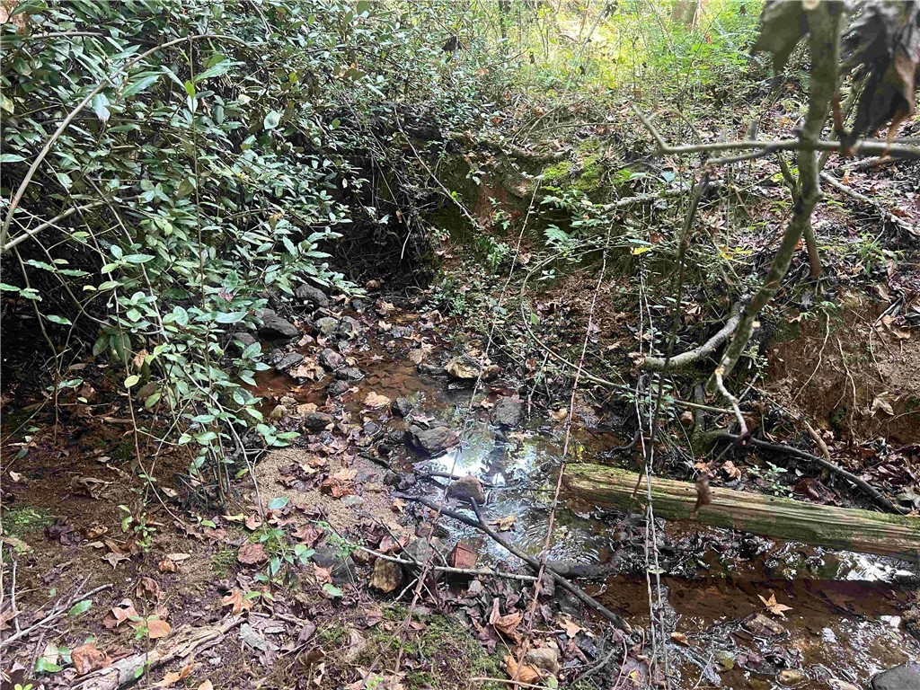 Lot 1-2 76th Highway Honea Path, SC 29654 - Photo 4 of 6