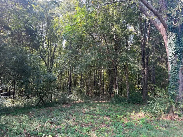 $592,410 | Lot 1-2 76th Highway, Honea Path, SC 29654