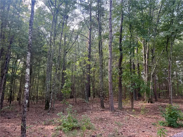 $592,410 | Lot 1-2 76th Highway, Honea Path, SC 29654