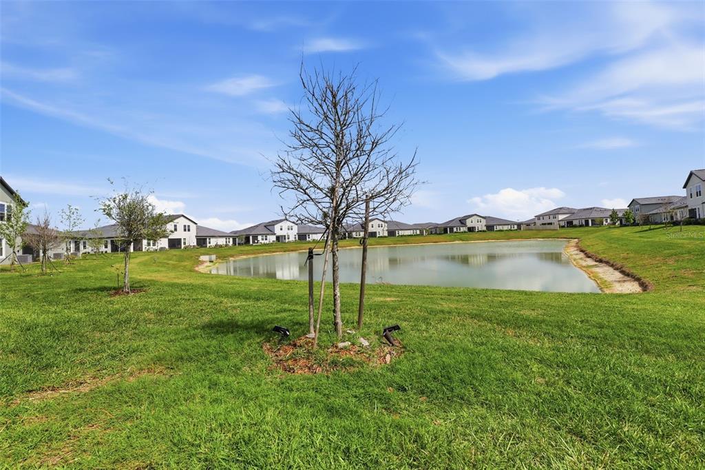 10799 Gable Dig Loop San Antonio, FL 33576 - Photo 18 of 19 a view of a lake with houses in the background