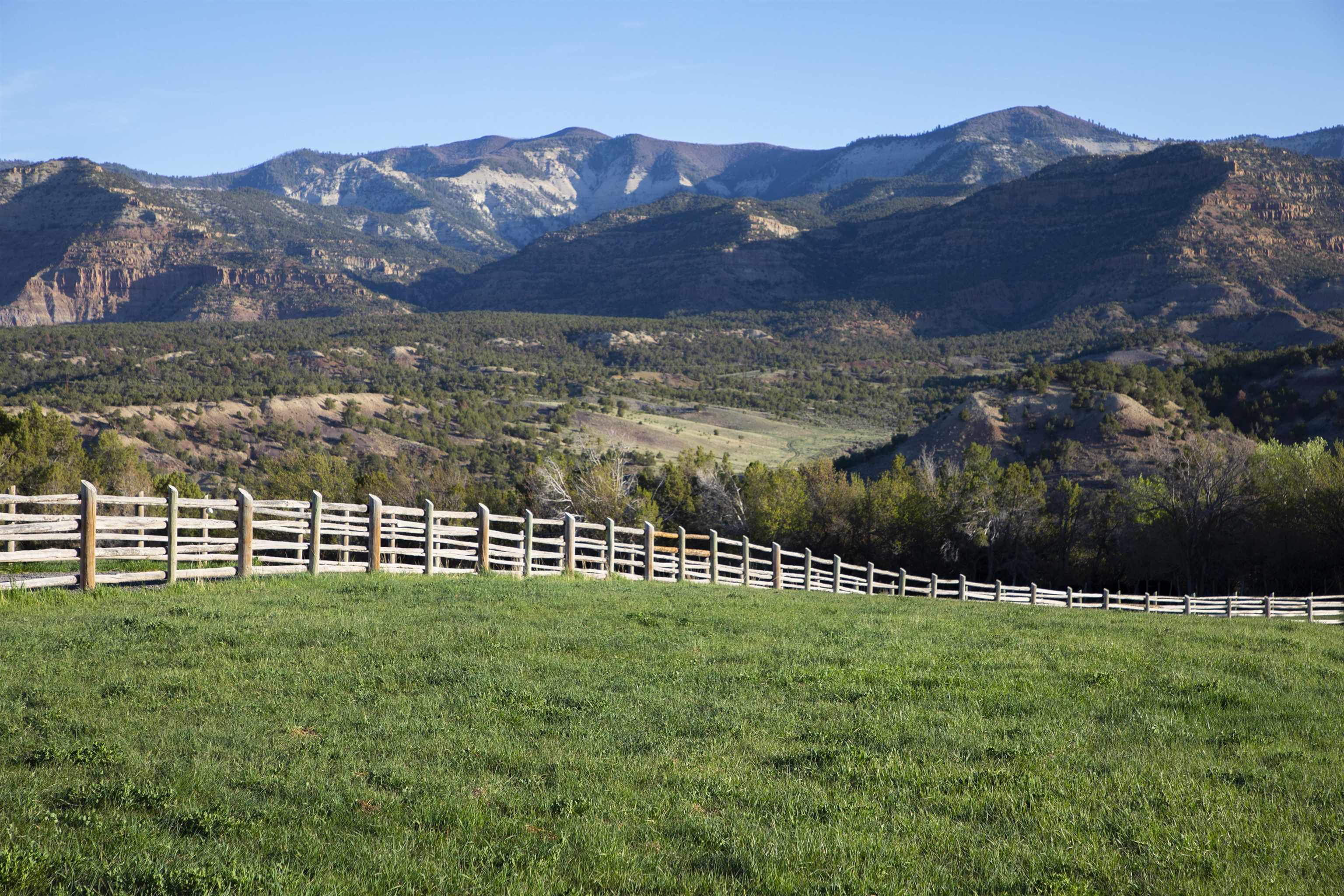 57178 Oe Road Collbran, CO 81624 - Photo 13 of 41 a view of a backyard with a garden