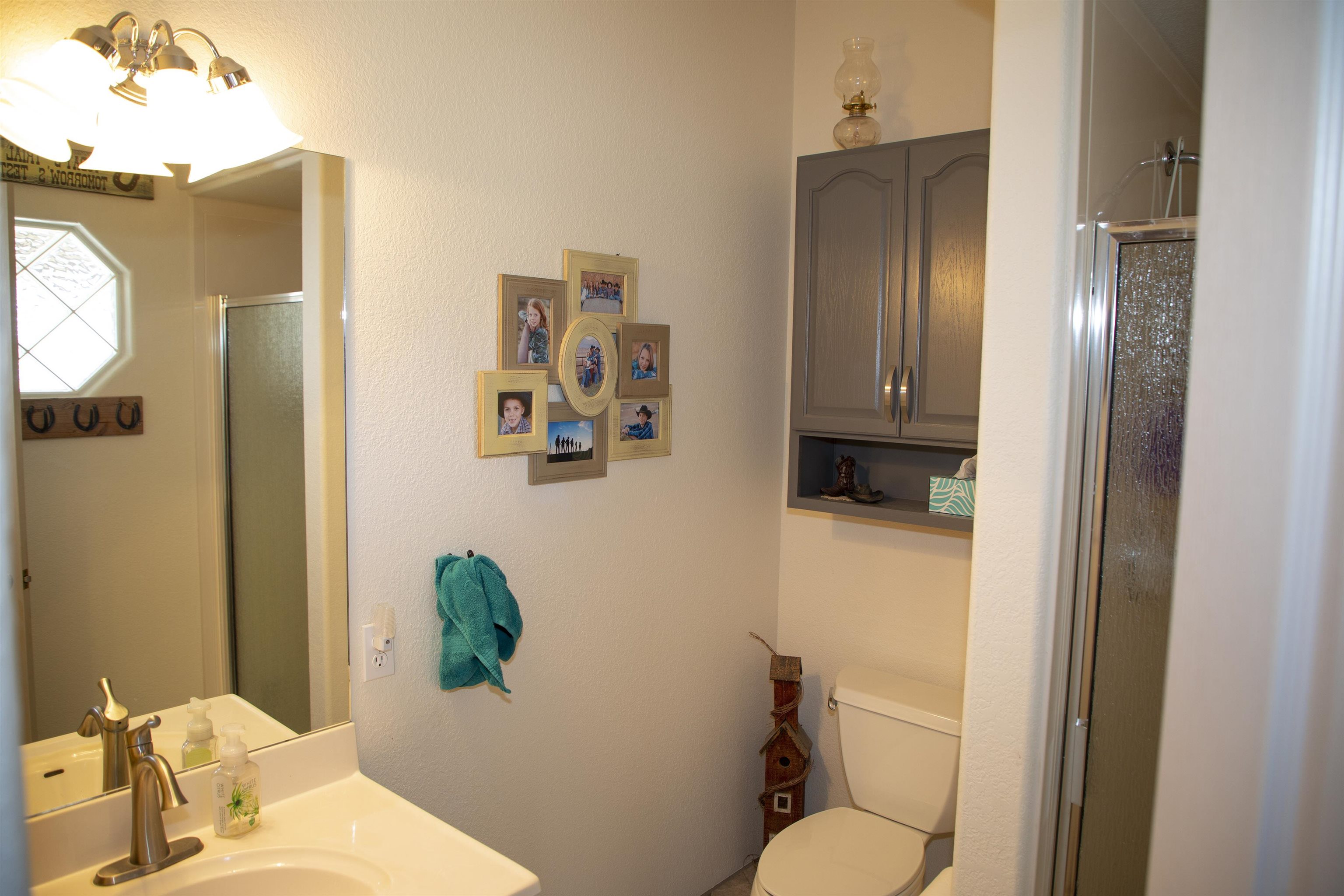 57178 Oe Road Collbran, CO 81624 - Photo 37 of 41 a bathroom with a toilet shower and mirror