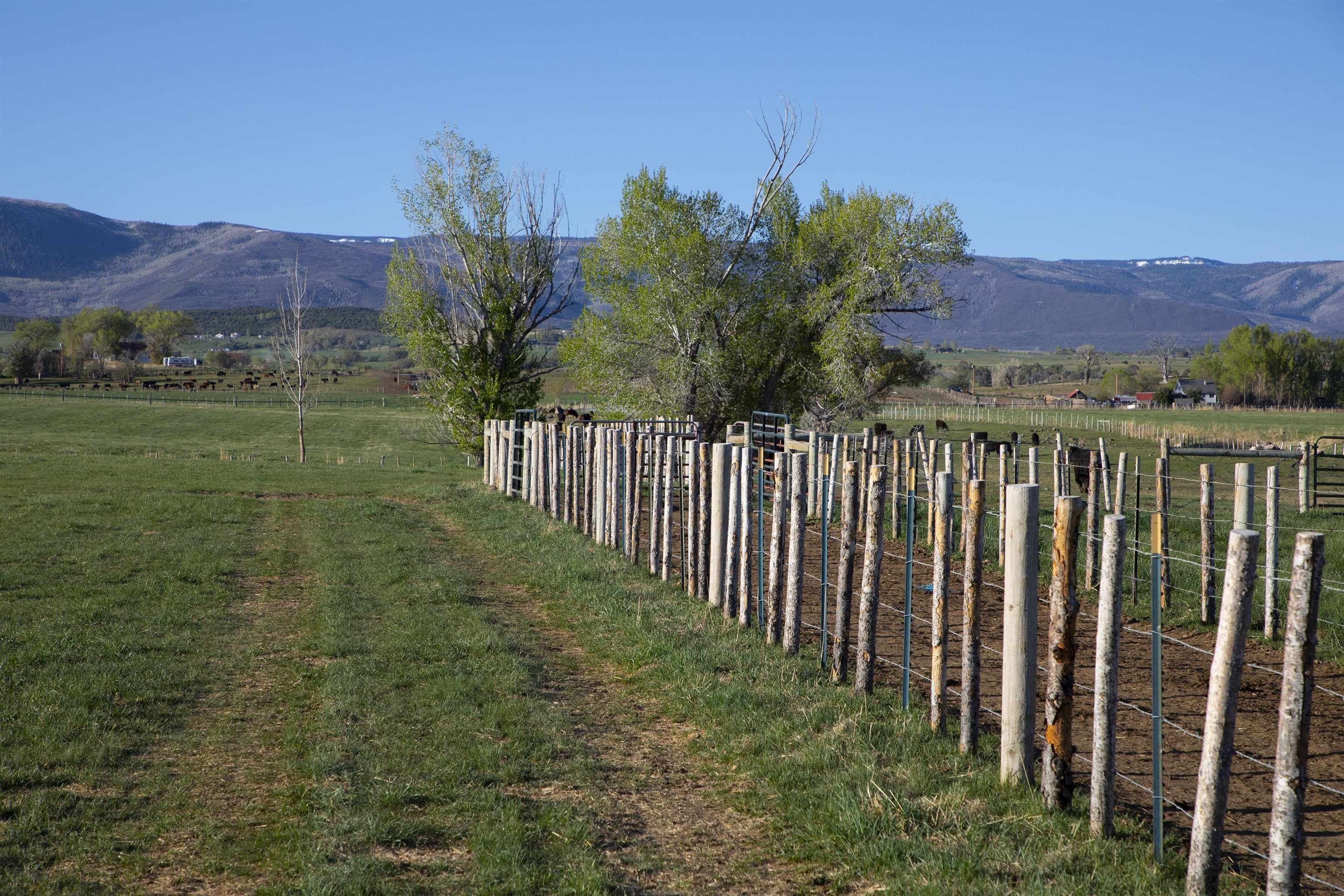 57178 Oe Road Collbran, CO 81624 - Photo 4 of 41 a view of a garden with a building in the background