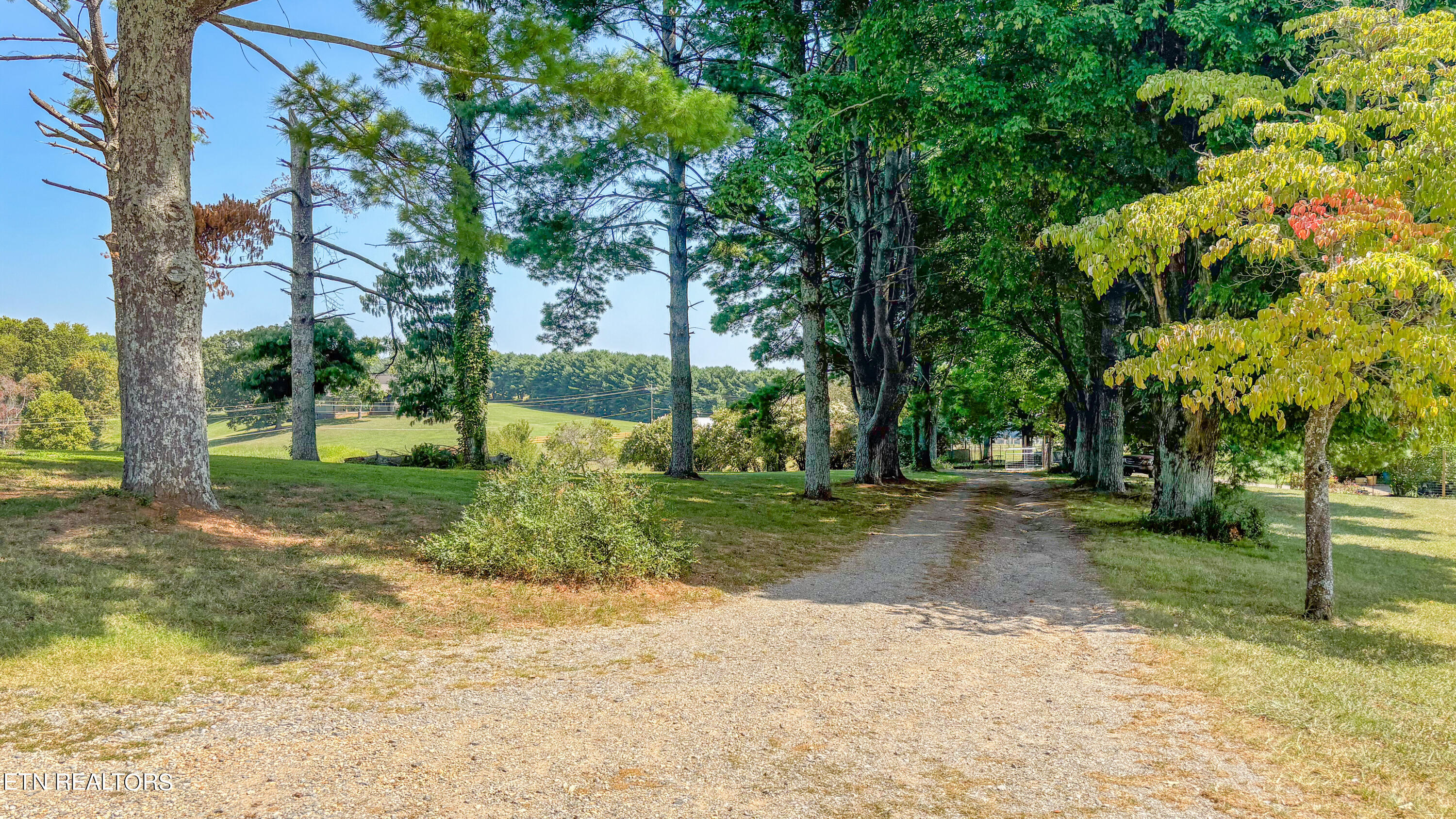 412 Glenlock Road Sweetwater, TN 37874 - Photo 48 of 53 Driveway