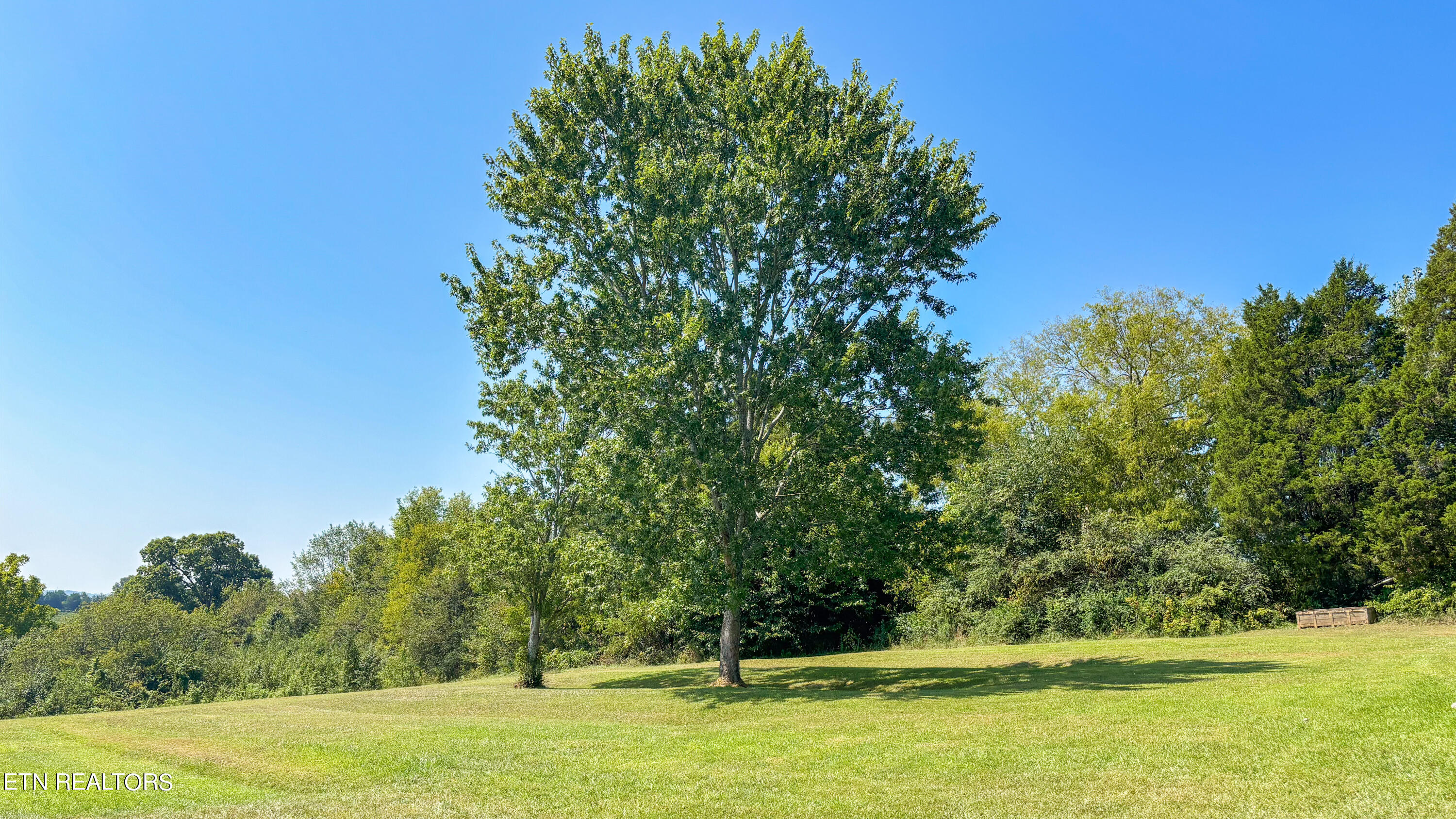 412 Glenlock Road Sweetwater, TN 37874 - Photo 49 of 53 5+acres