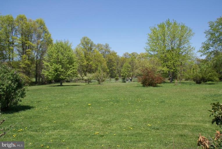 20421 Cockerill Road Purcellville, VA 20132 - Photo 3 of 18 Back yard