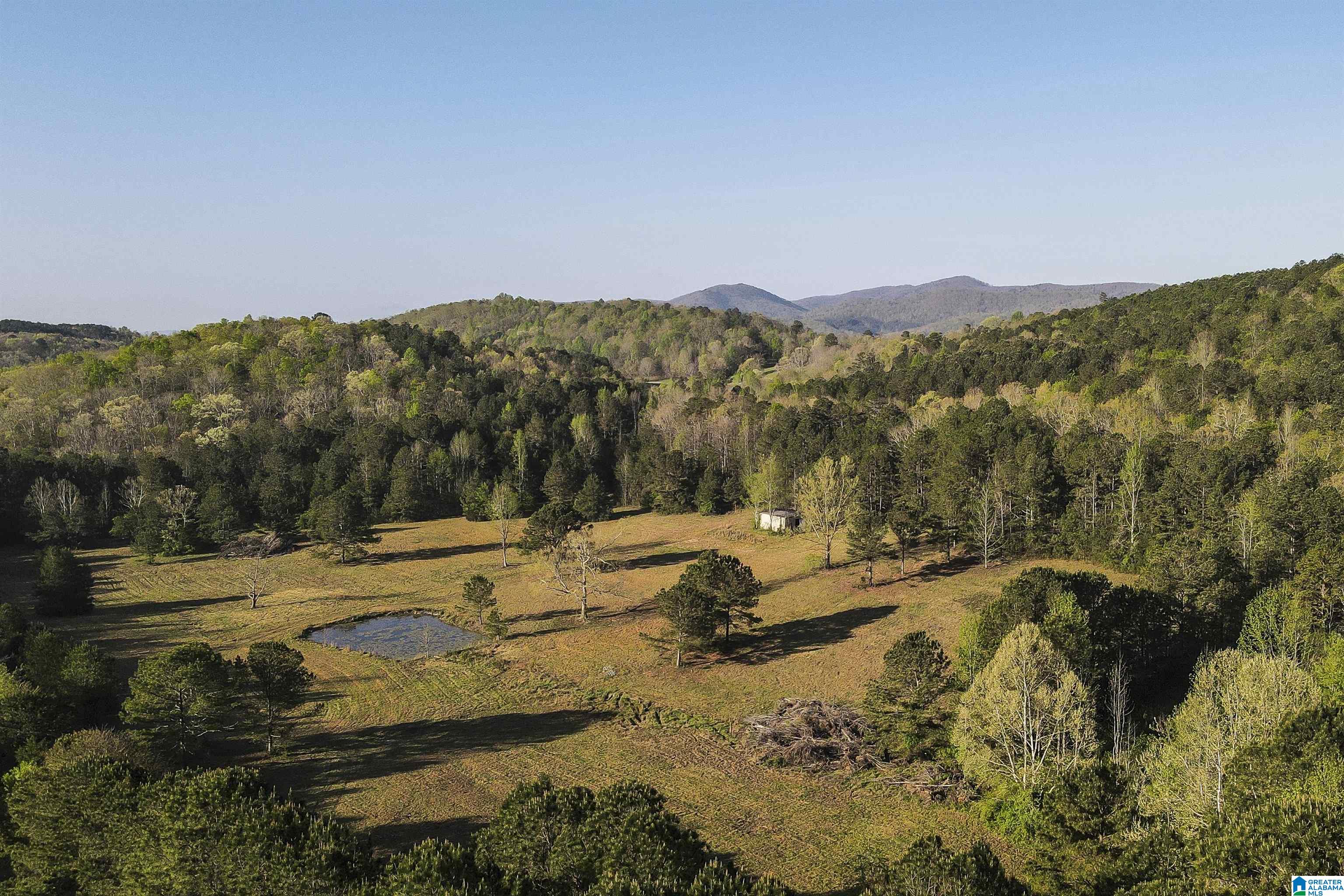 0 Stone Ridge Trail South, Unit 49 95 AC Anniston, AL 36207 - Photo 15 of 22