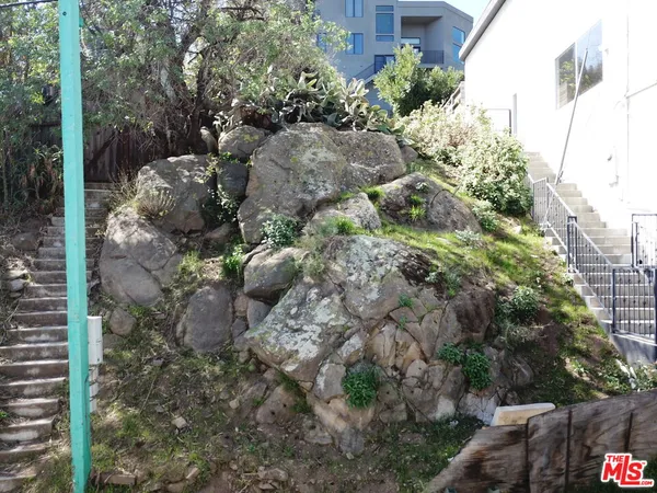 a view of a yard with plants and large trees