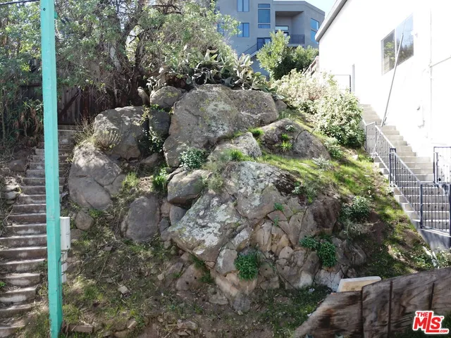 a view of a yard with plants and large trees