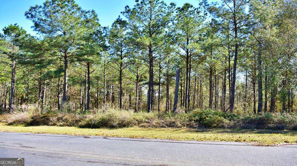 Lot 5-6 Block A Mountain View Way Bainbridge, GA 39819 - Photo 11 of 15