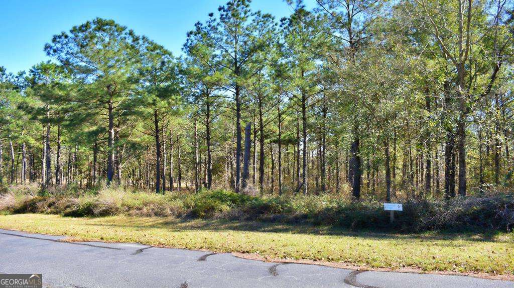 Lot 5-6 Block A Mountain View Way Bainbridge, GA 39819 - Photo 12 of 15