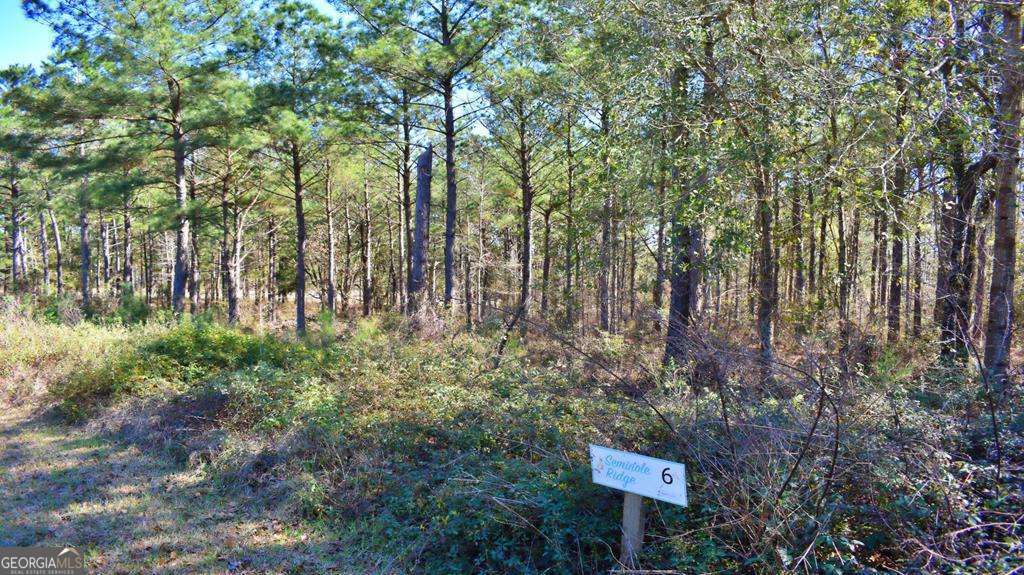 Lot 5-6 Block A Mountain View Way Bainbridge, GA 39819 - Photo 13 of 15