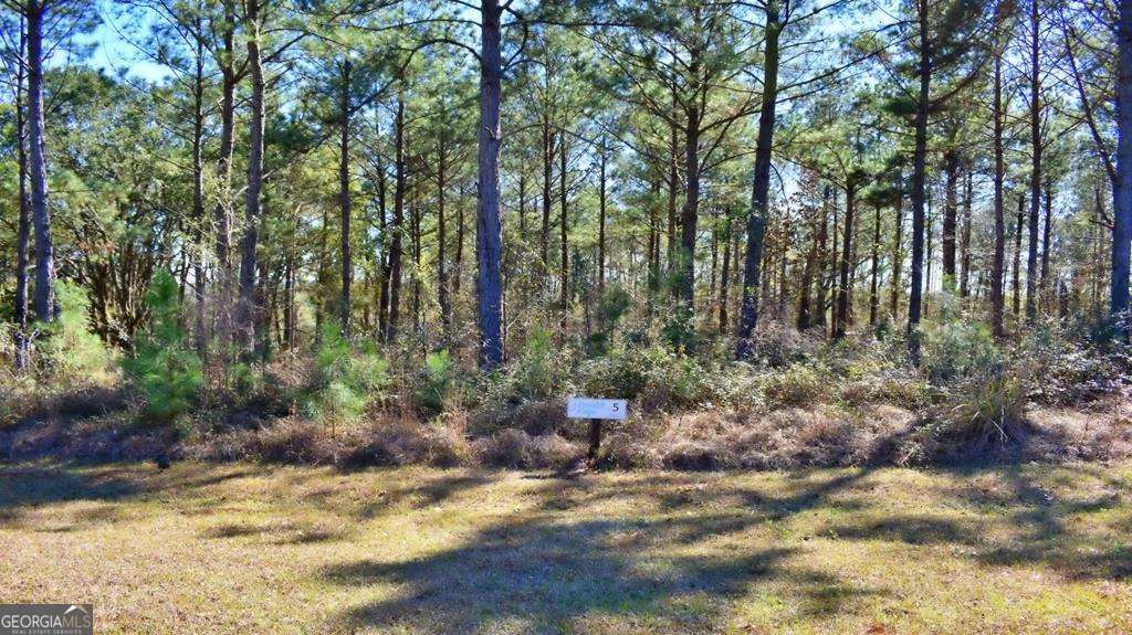 Lot 5-6 Block A Mountain View Way Bainbridge, GA 39819 - Photo 14 of 15