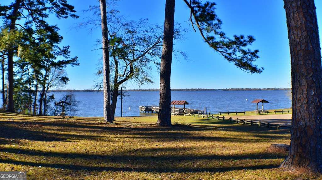 Lot 5-6 Block A Mountain View Way Bainbridge, GA 39819 - Photo 4 of 15