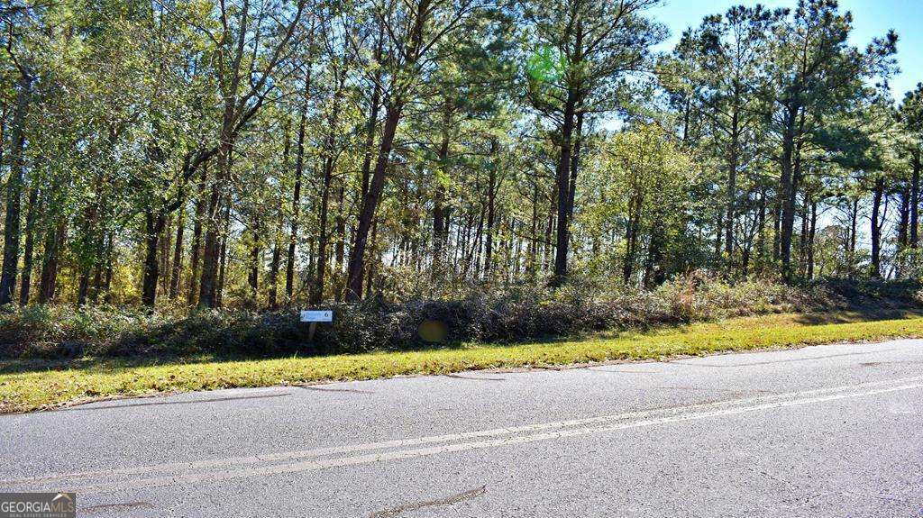 Lot 5-6 Block A Mountain View Way Bainbridge, GA 39819 - Photo 9 of 15