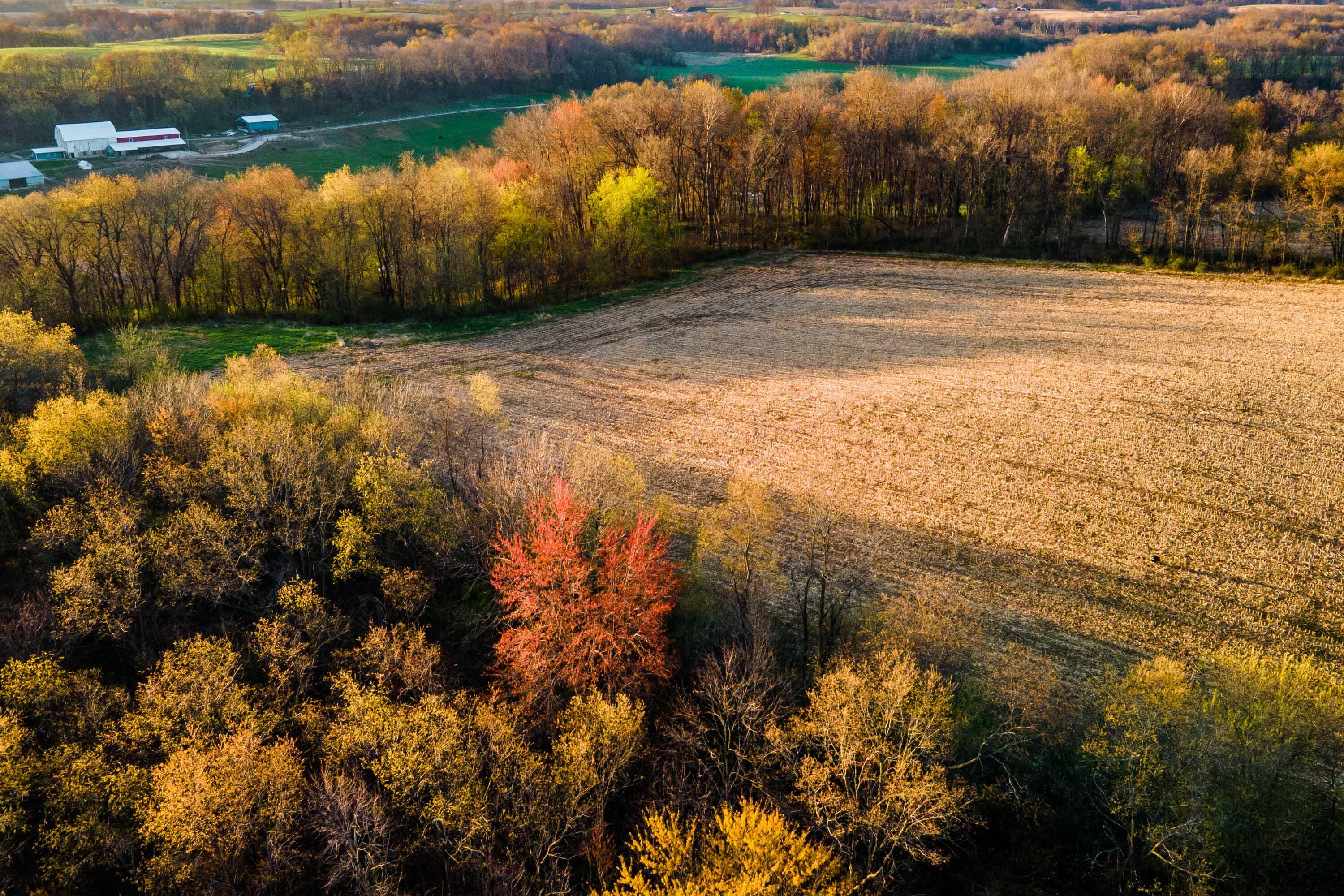 Lt0 Eli Valley Road Hillpoint, WI 53937 - Photo 12 of 34 Sauk-County-WI-17-Acres-Land-For-Sale-15