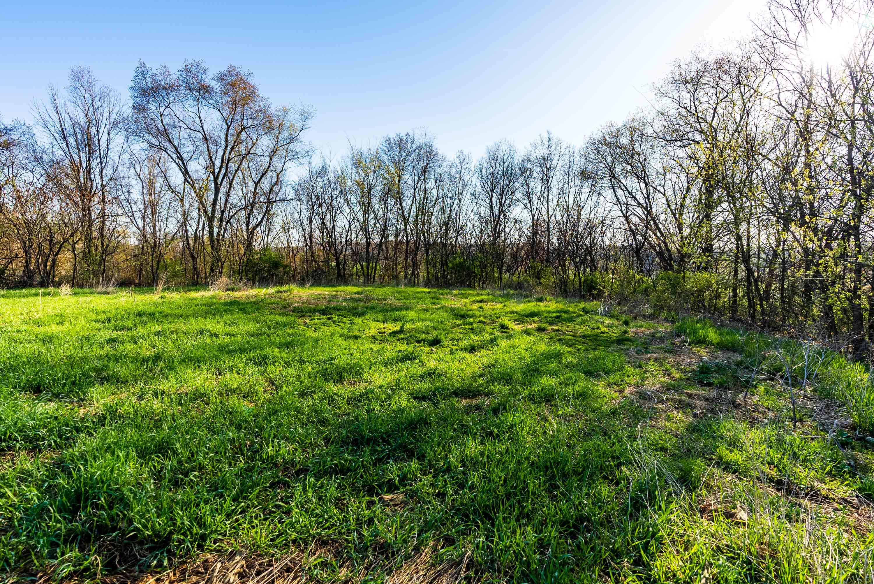 Lt0 Eli Valley Road Hillpoint, WI 53937 - Photo 14 of 34 Sauk-County-WI-17-Acres-Land-For-Sale-14
