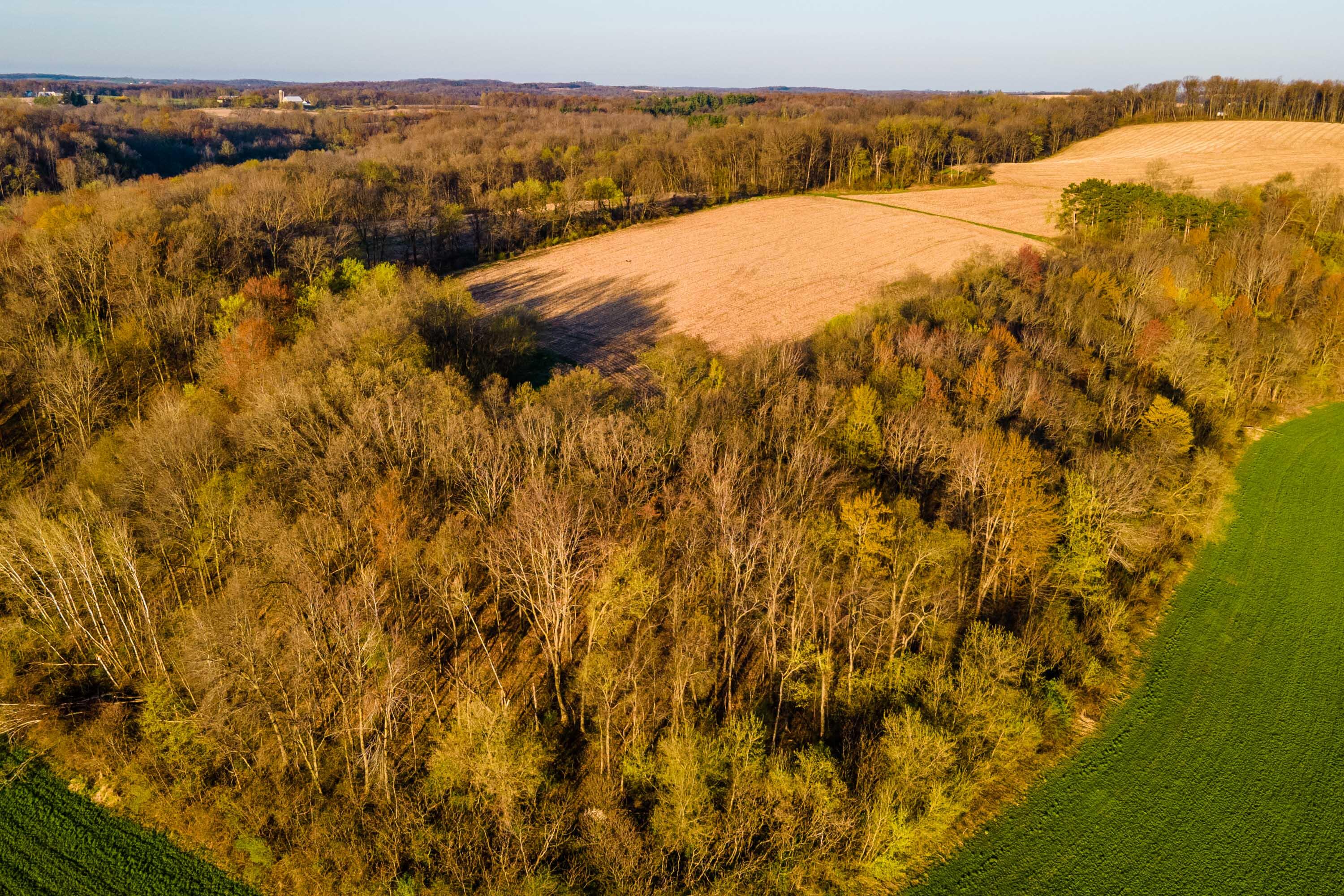 Lt0 Eli Valley Road Hillpoint, WI 53937 - Photo 23 of 34 Sauk-County-WI-17-Acres-Land-For-Sale-24