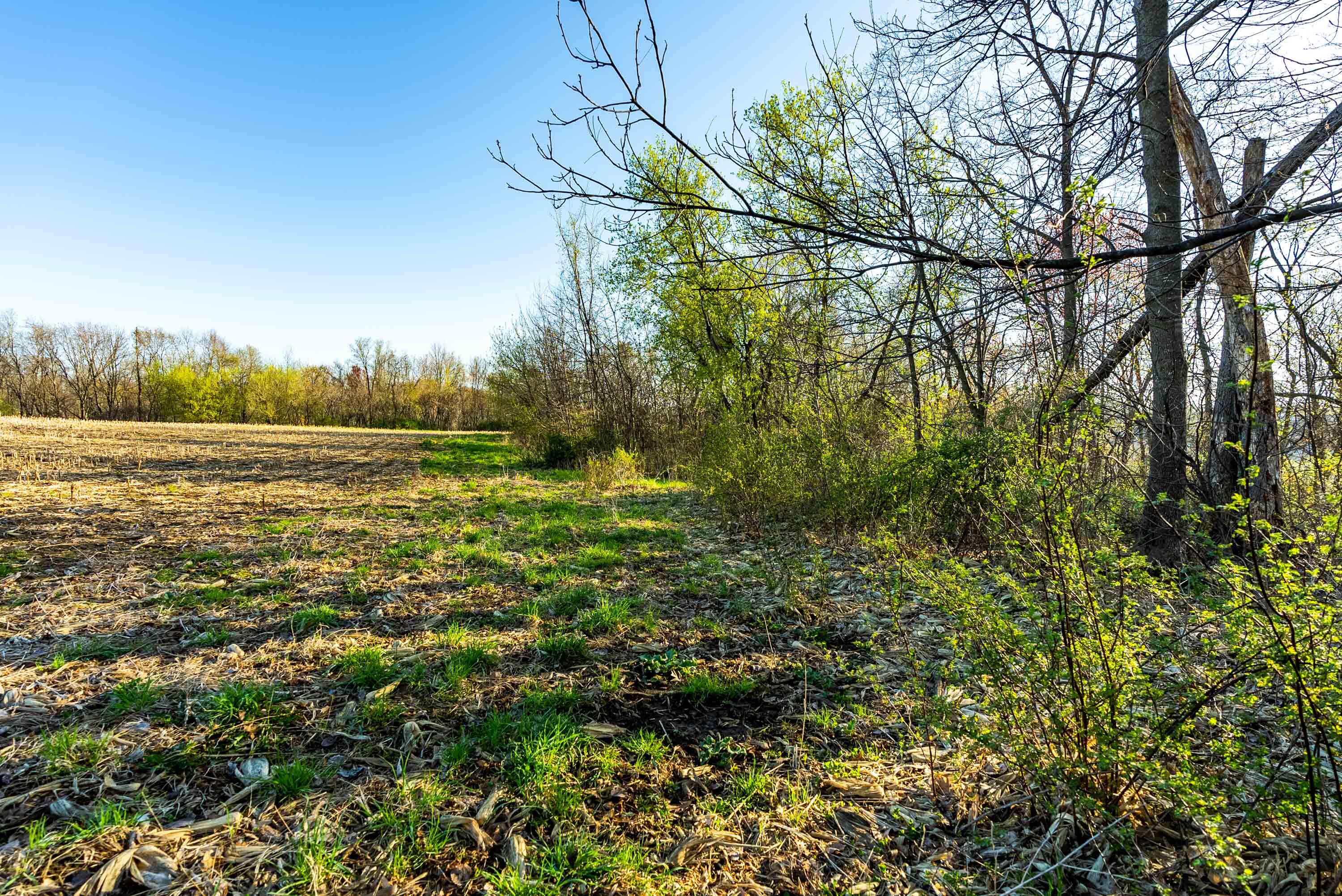Lt0 Eli Valley Road Hillpoint, WI 53937 - Photo 24 of 34 Sauk-County-WI-17-Acres-Land-For-Sale-25