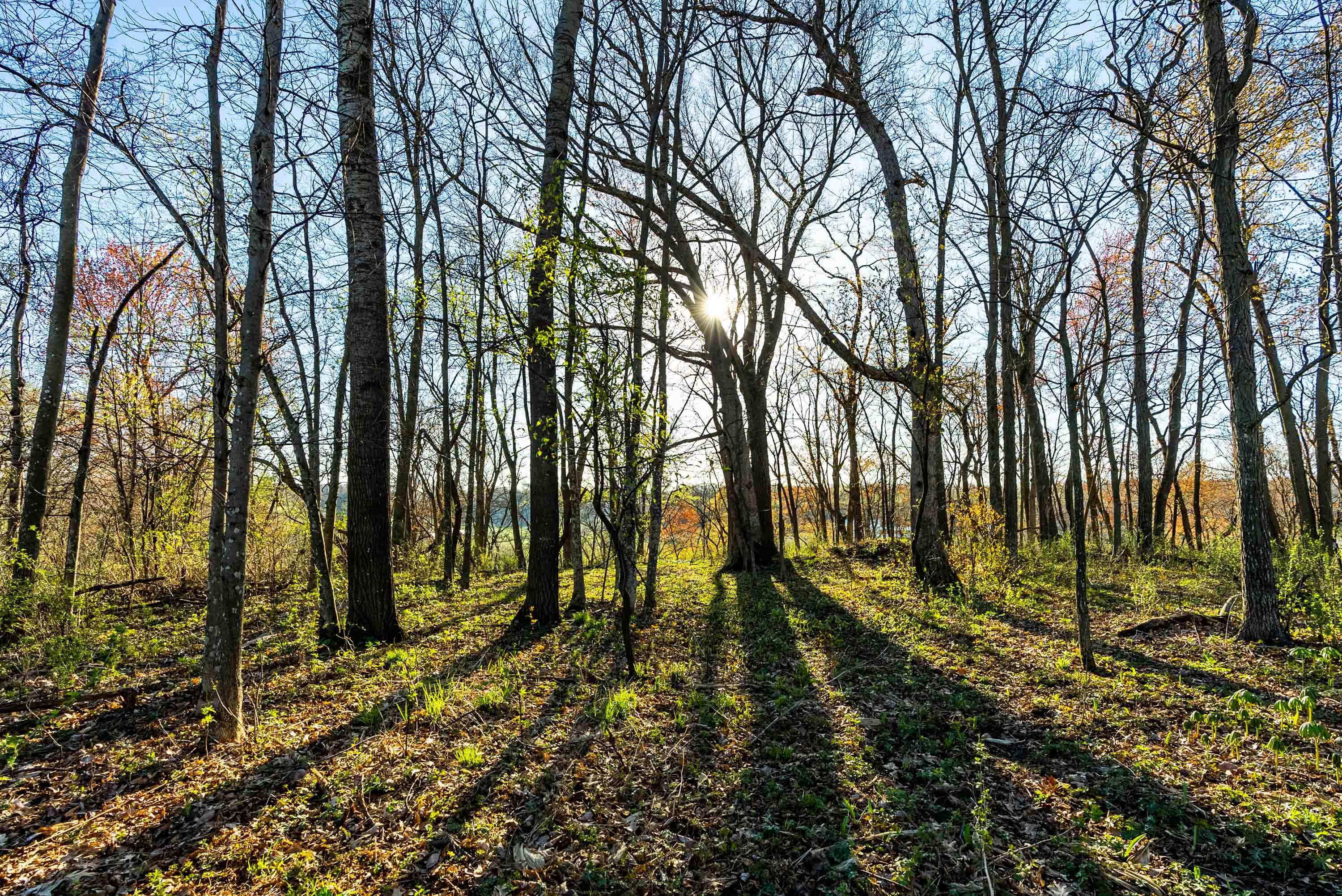 Lt0 Eli Valley Road Hillpoint, WI 53937 - Photo 25 of 34 Sauk-County-WI-17-Acres-Land-For-Sale-26