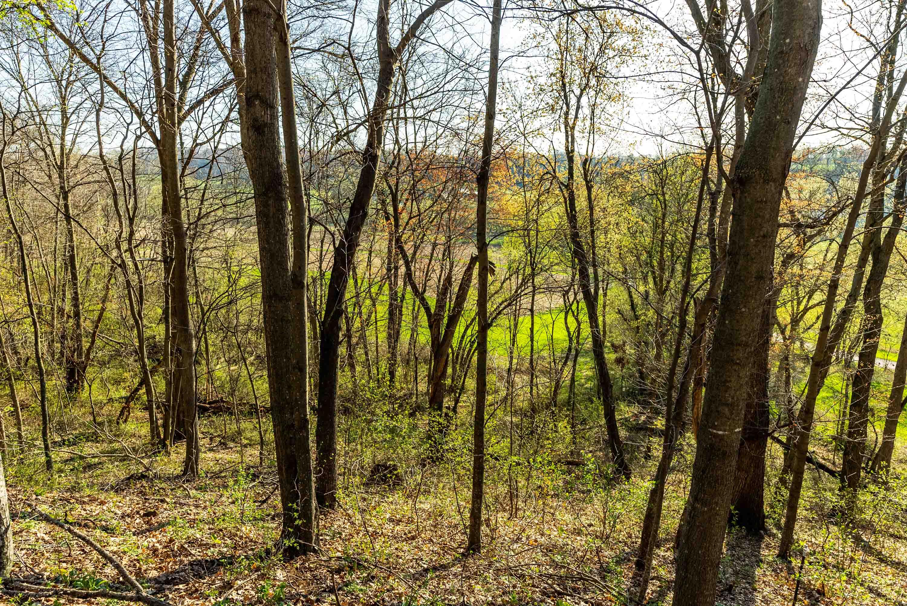 Lt0 Eli Valley Road Hillpoint, WI 53937 - Photo 26 of 34 Sauk-County-WI-17-Acres-Land-For-Sale-27