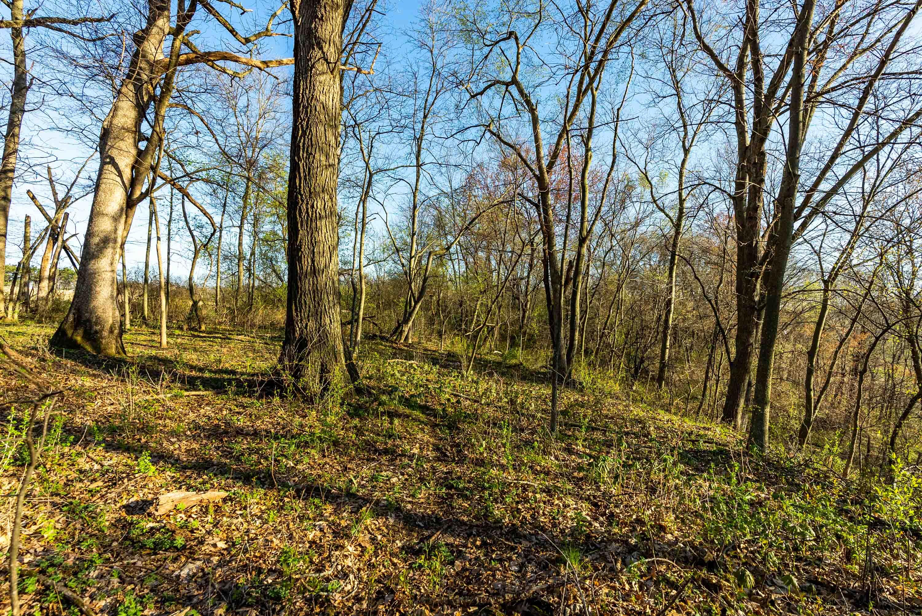 Lt0 Eli Valley Road Hillpoint, WI 53937 - Photo 27 of 34 Sauk-County-WI-17-Acres-Land-For-Sale-28
