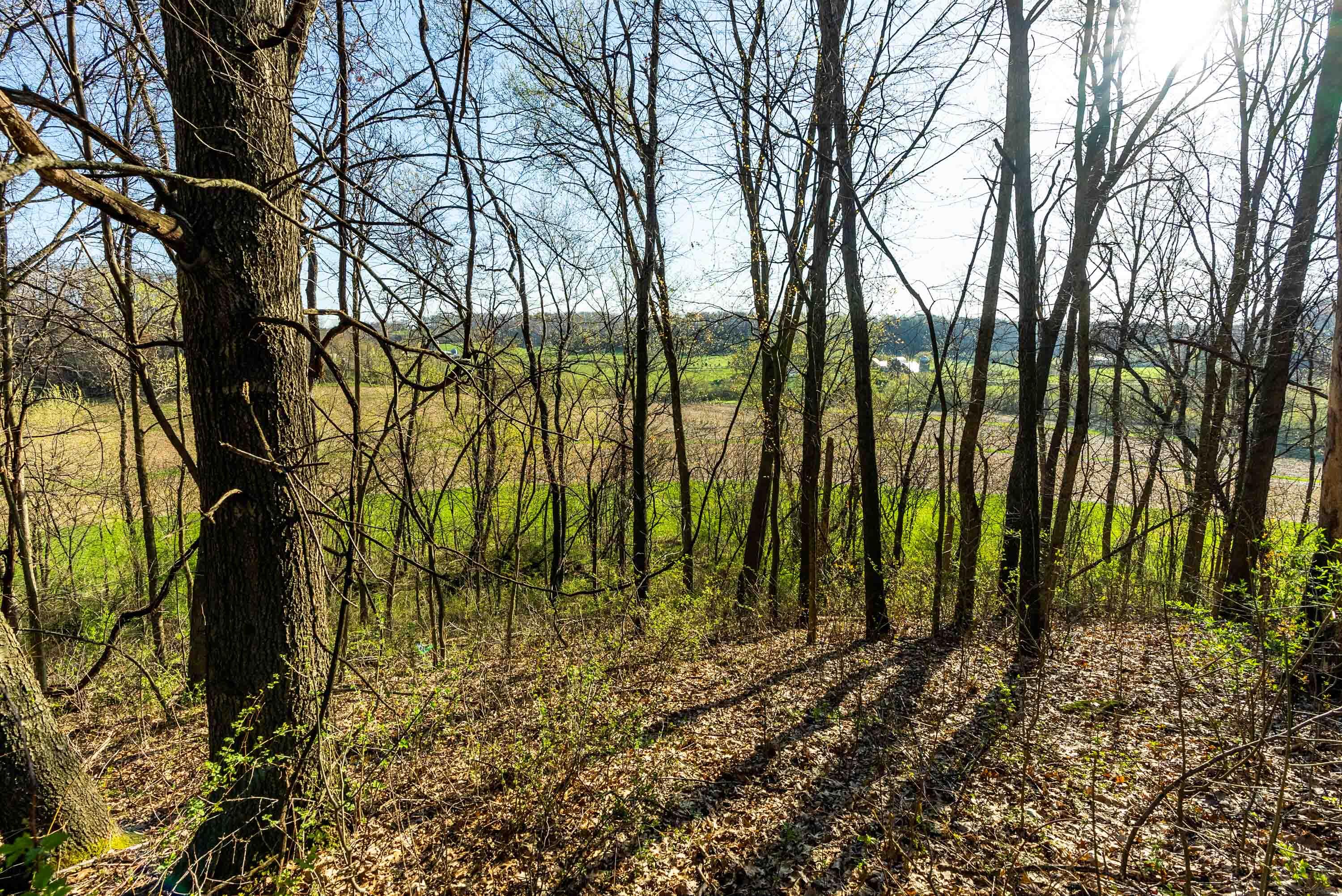 Lt0 Eli Valley Road Hillpoint, WI 53937 - Photo 31 of 34 Sauk-County-WI-17-Acres-Land-For-Sale-32