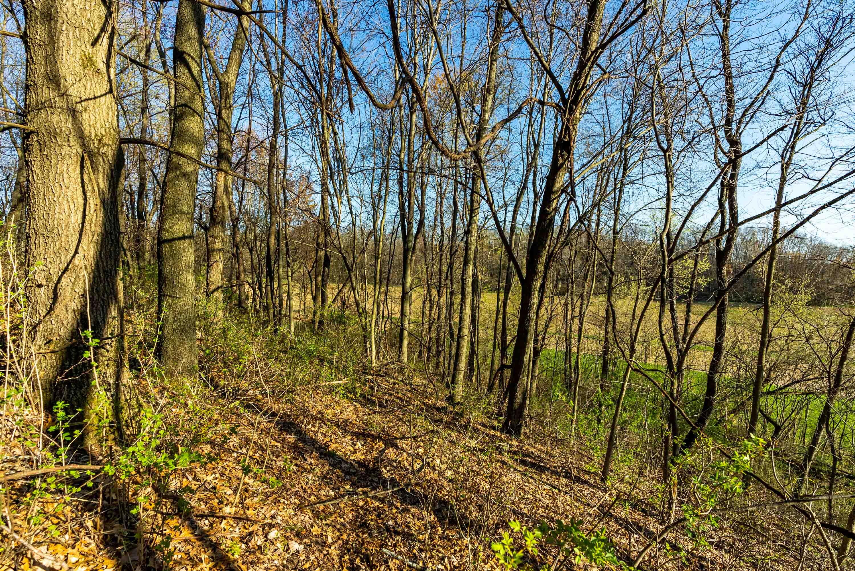 Lt0 Eli Valley Road Hillpoint, WI 53937 - Photo 32 of 34 Sauk-County-WI-17-Acres-Land-For-Sale-33