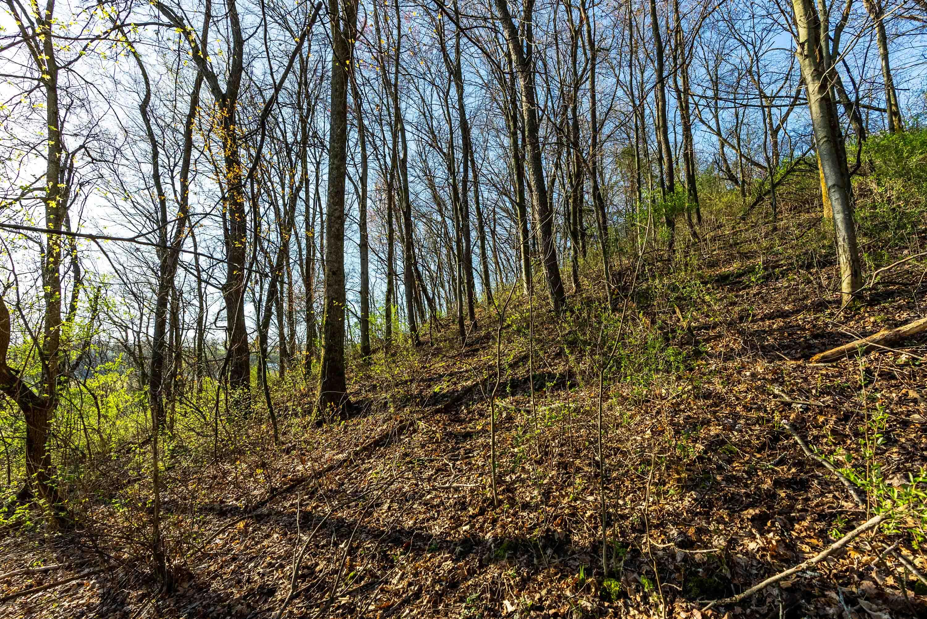 Lt0 Eli Valley Road Hillpoint, WI 53937 - Photo 33 of 34 Sauk-County-WI-17-Acres-Land-For-Sale-34