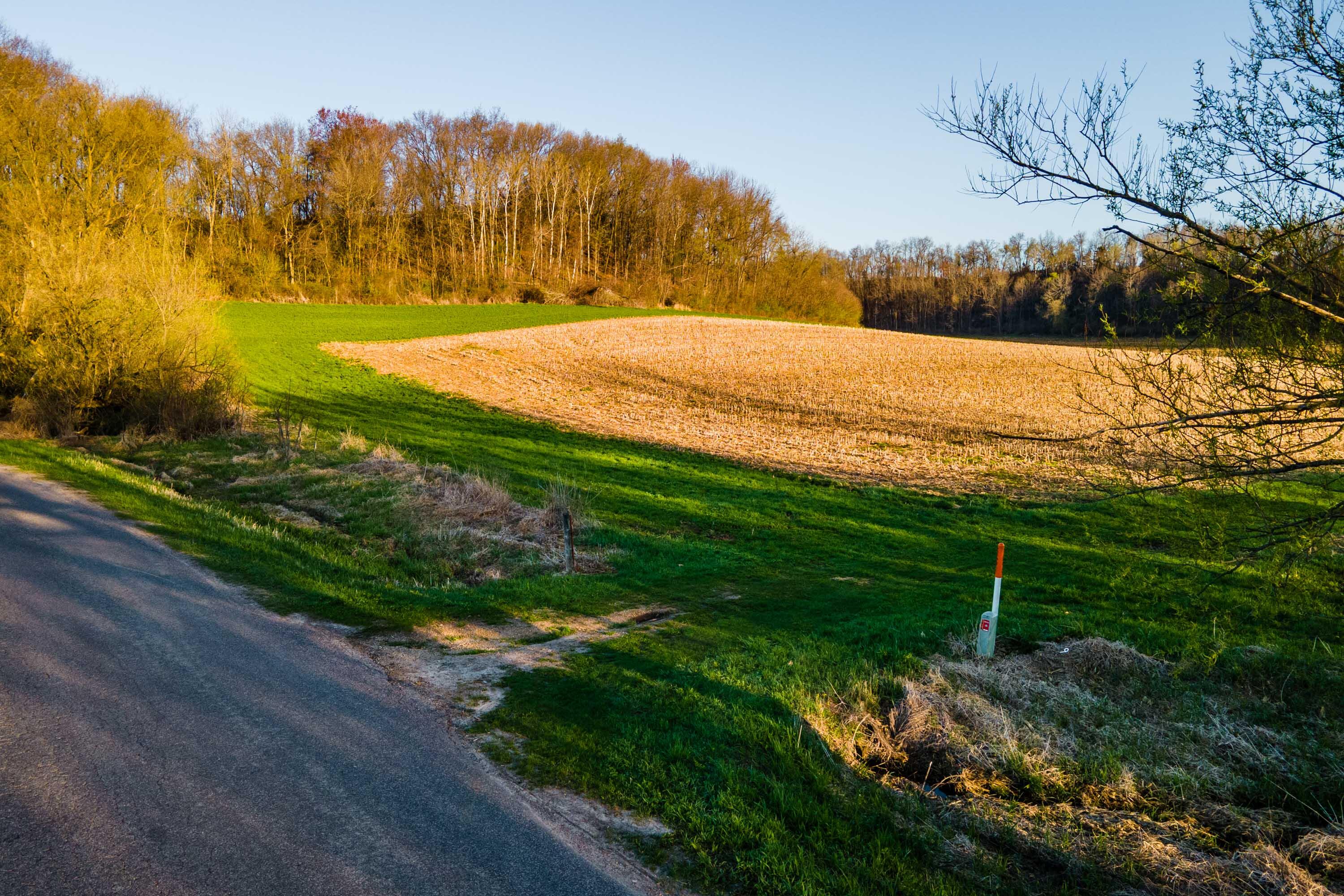 Lt0 Eli Valley Road Hillpoint, WI 53937 - Photo 5 of 34 Sauk-County-WI-17-Acres-Land-For-Sale-5