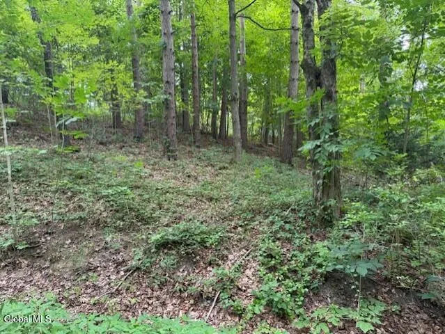 $96,000 | L122.01 Overlook Lane, Duanesburg, NY 12056