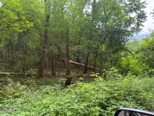 $96,000 | L122.01 Overlook Lane, Duanesburg, NY 12056