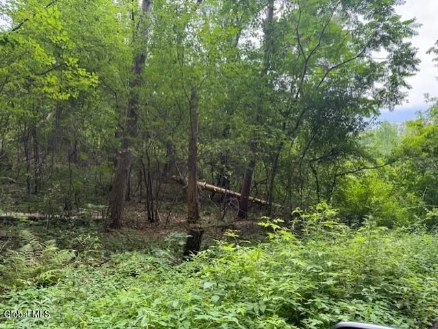 $96,000 | L122.01 Overlook Lane, Duanesburg, NY 12056