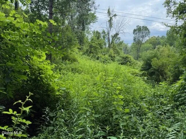 $96,000 | L122.01 Overlook Lane, Duanesburg, NY 12056