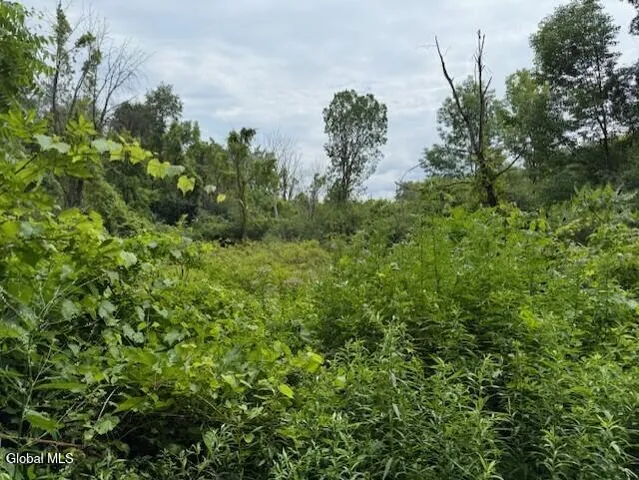 $96,000 | L122.01 Overlook Lane, Duanesburg, NY 12056