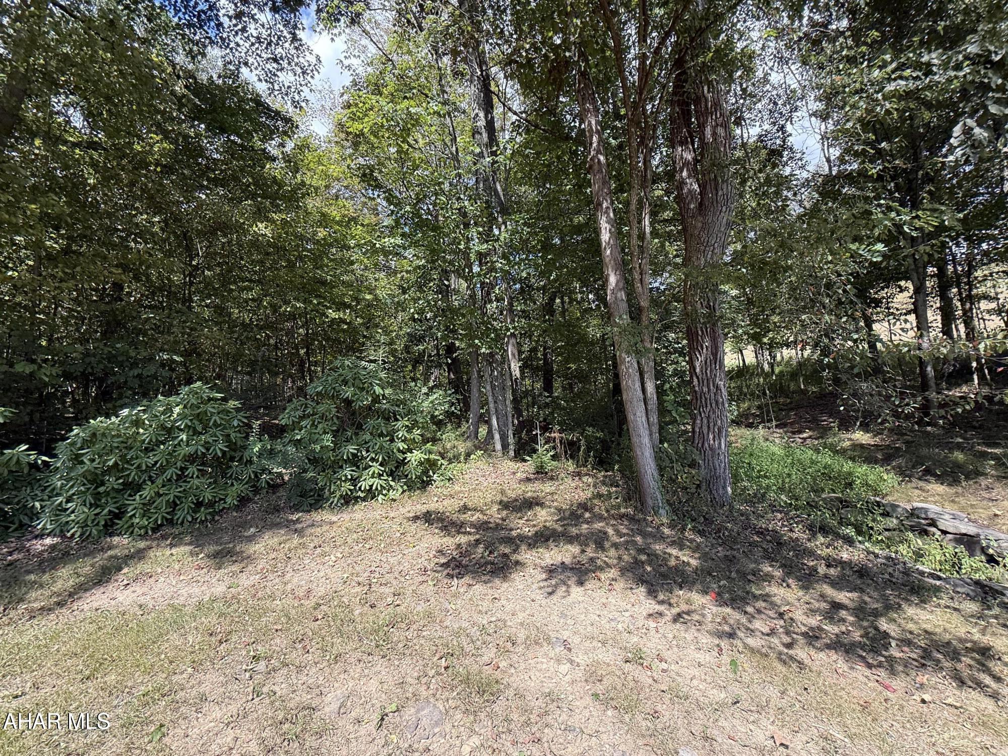 5719 Cortland Road Alum Bank, PA 15521 - Photo 62 of 82