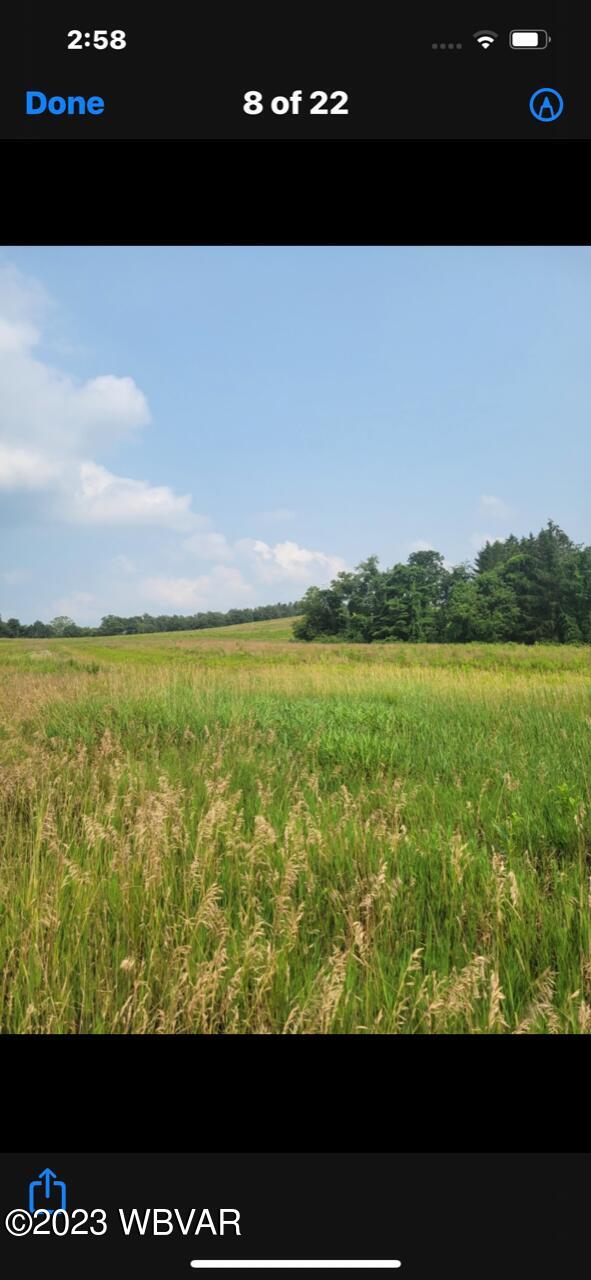 Lycoming Creek Road Cogan Station, PA 17728 - Photo 4 of 5 Gallery Image 4