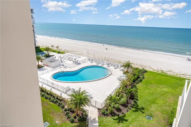 a view of a swimming pool with a yard and plants