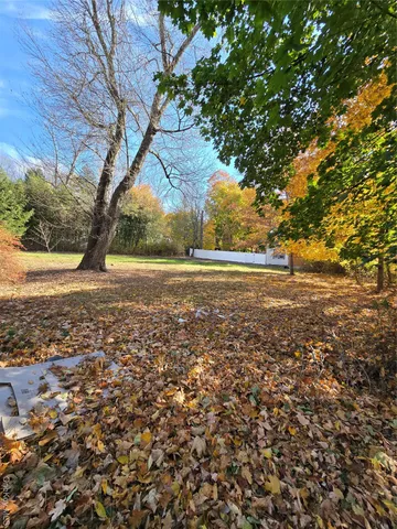 a view of yard with large tree