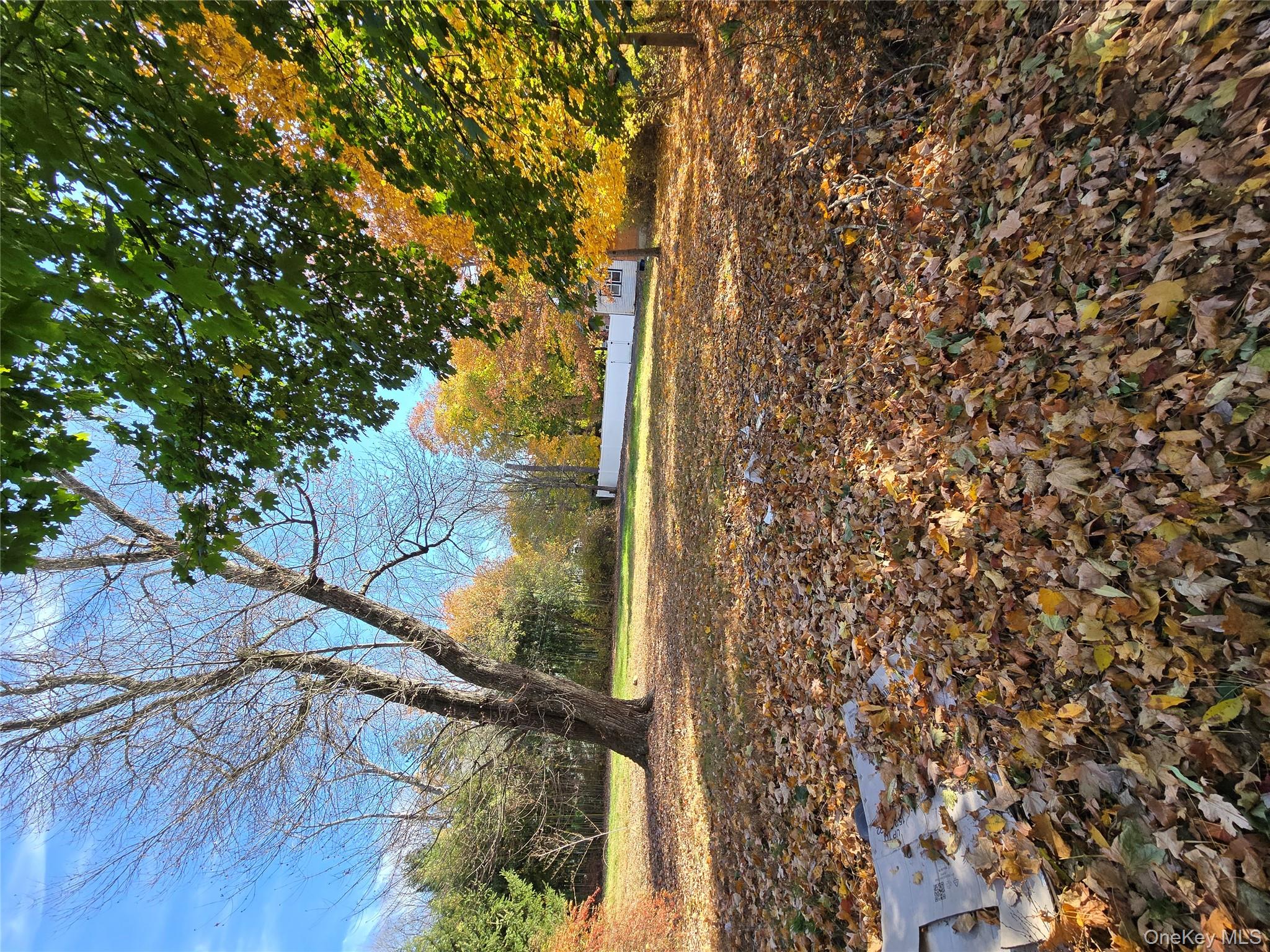 63 Viola Road Montebello, NY 10901 - Photo 2 of 8 a view of yard with large tree
