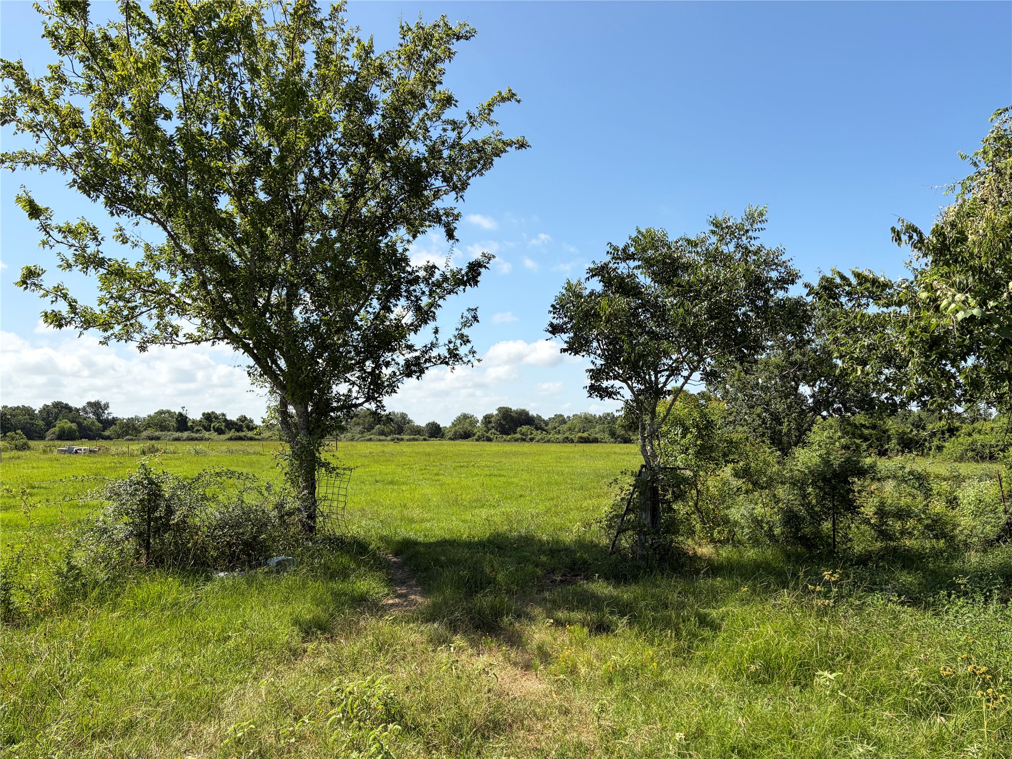 1186 Schindler Road Alleyton, TX 78935 - Photo 10 of 17