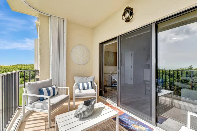 a view of a big yard with large trees