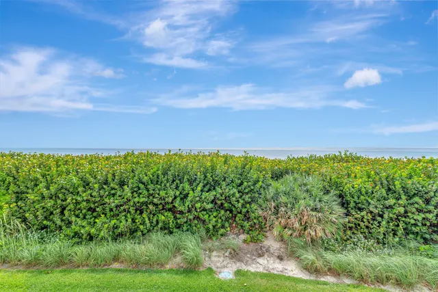 a view of a yard with an outdoor space