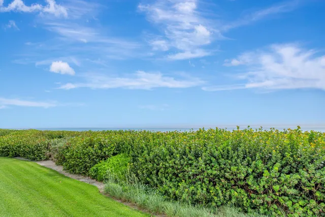 a view of a multi story building with a yard