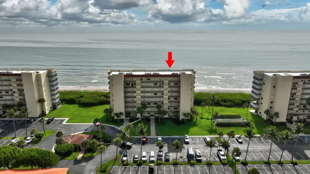 a small yard with lots of green space