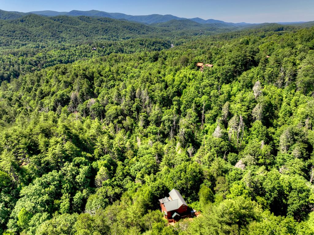 260 Down Under Road Blue Ridge, GA 30513 - Photo 47 of 98